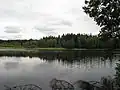 Rybník