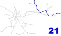 Mapa linky 21