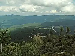 Přírodní památka Královský hvozd