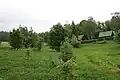 Prameniště Kravského potoka u Janoviček