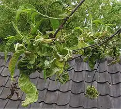 alternativní popis obrázku chybí
