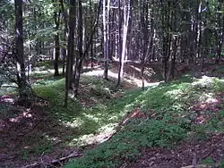 Krumvald (hrad) - zbylý příkop.JPG