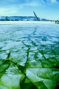 Kry na Labi v Ústí nad Labem, únor 2021