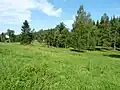 Přírodní památka Kudlačena