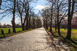 Kunětická ulice v Cihelně.jpg