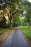 Asfaltová cesta - cyklostezka vedoucí Kunšachem