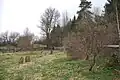 Židovský hřbitov