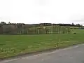 Pastviny v okolí