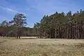 Dvořiště