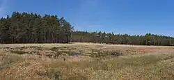 rašeliniště