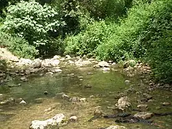Tok Nachal Kziv