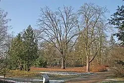 Lázeňský park