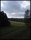 Okolí Dolní Radechové 3