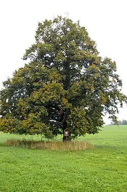 v říjnu 2014