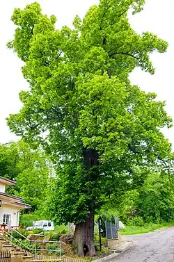 v květnu 2014