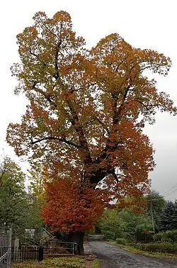 v říjnu 2015