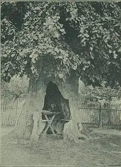 přelom 19. a 20. století (Jan Vilím)