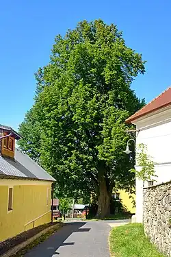 v červenci 2020