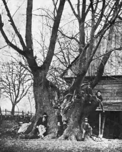 kolem roku 1900 (foto Jan Vilím)