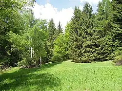 Lúčky – Roveňky