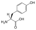 Tyrosin
