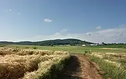 Příchod k letišti cestou od komínského sídliště, ulice Řezáčovy