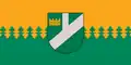 Pļaviņas – vlajka
