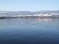 Neuchatelské jezero