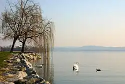 jezero v Gavirate
