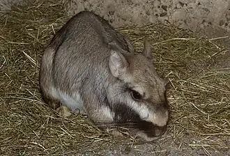 alternativní popis obrázku chybí