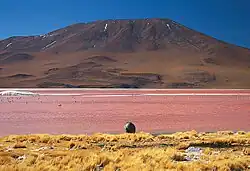 Jorcada