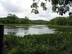 Jezero Ngardok