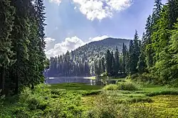 Jezero, okolo les, v pozadí hory