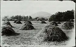 Kupky sena s horou Haystack v pozadí