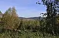 Krajina u příjezdové cesty