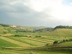 Județul Cluj