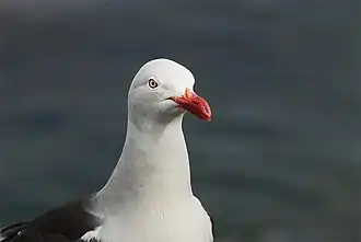 alternativní popis obrázku chybí