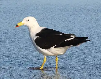 alternativní popis obrázku chybí