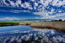 Las Tablas de Daimiel