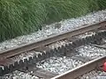 Ozubnice Métro Lausanne-Ouchy