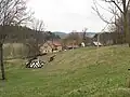 Chalupy v kopci