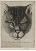 Václav Hollar, Le vray portrait du chat du grand Duc de Moscouie (velká varianta, 1663)