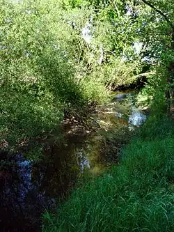 Bezdrevský potok u Lékařovy Lhoty