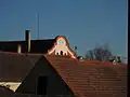 Střechy