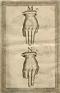 M, N
