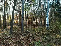 Prutník