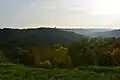 Lesní plocha
