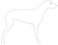 Rovný hřbet