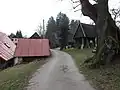 Kmen a cesta