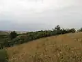 Svahy